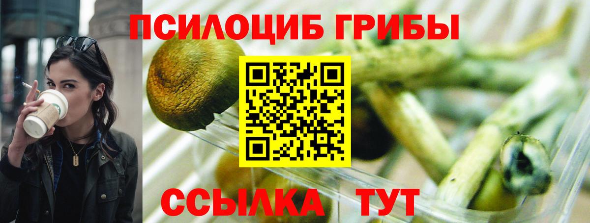 Галлюциногенные грибы ЛСД  Вход с VPN  Псилоцибиновые грибы Psilocybe  купить наркотики сайты  Похвистнево 